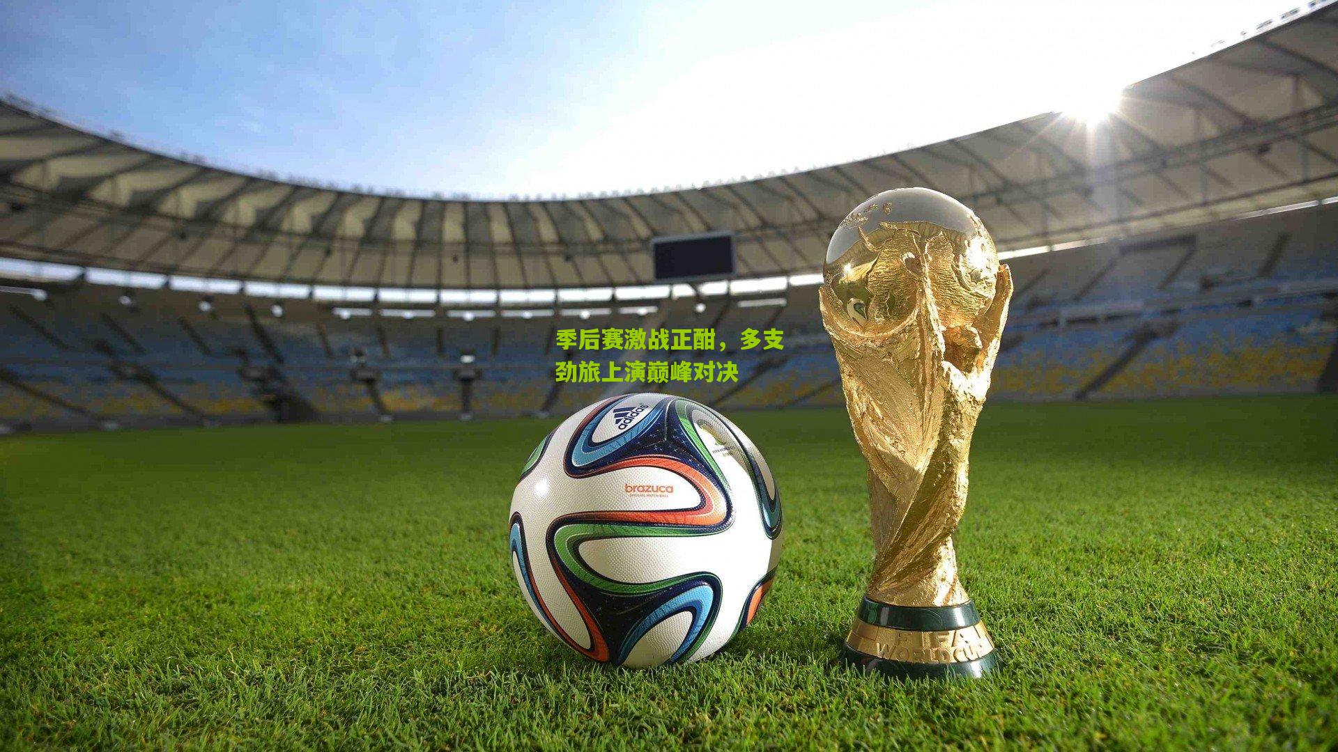 ng体育下载：季后赛激战正酣，多支劲旅上演巅峰对决