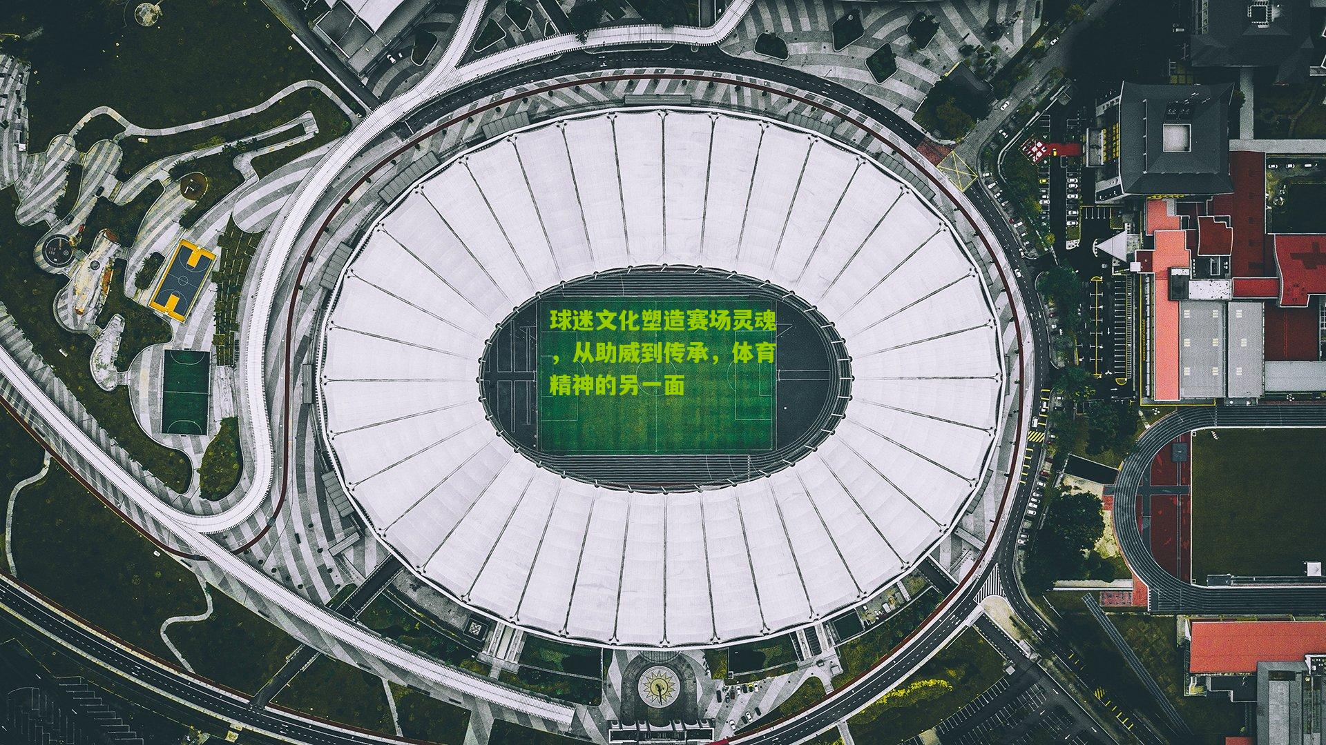 ng体育网页版：球迷文化塑造赛场灵魂，从助威到传承，体育精神的另一面