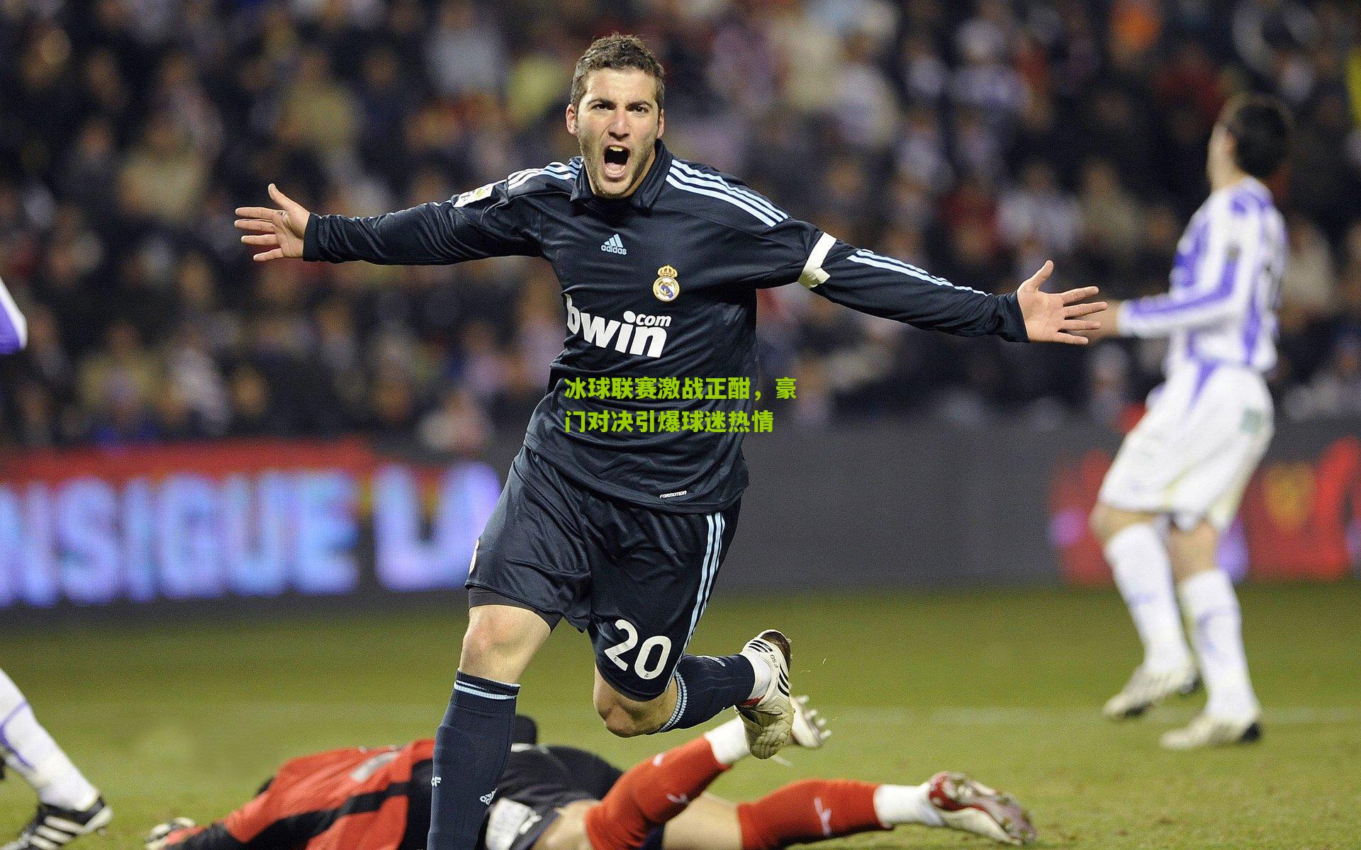 ng体育下载-冰球联赛激战正酣，豪门对决引爆球迷热情